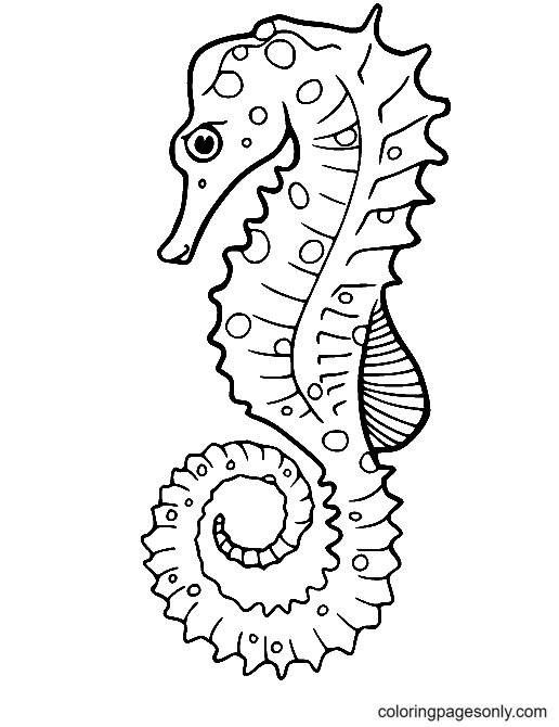 Seahorse Coloring Pages Printable for Free Download