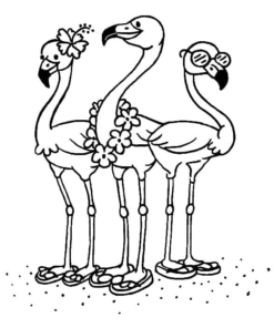 Flamingo Coloring Pages Printable for Free Download