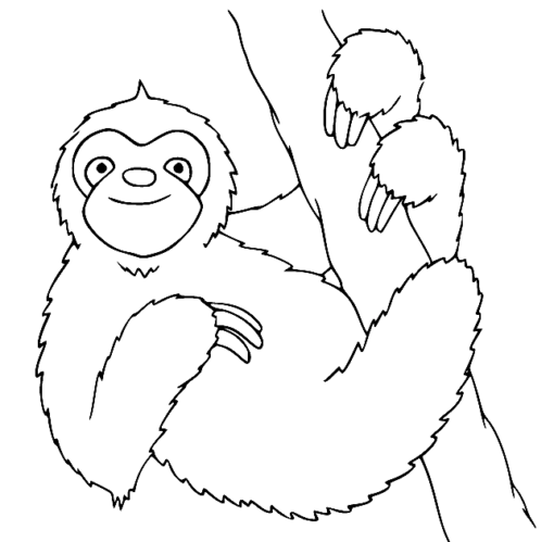 Sloth Coloring Pages Printable for Free Download