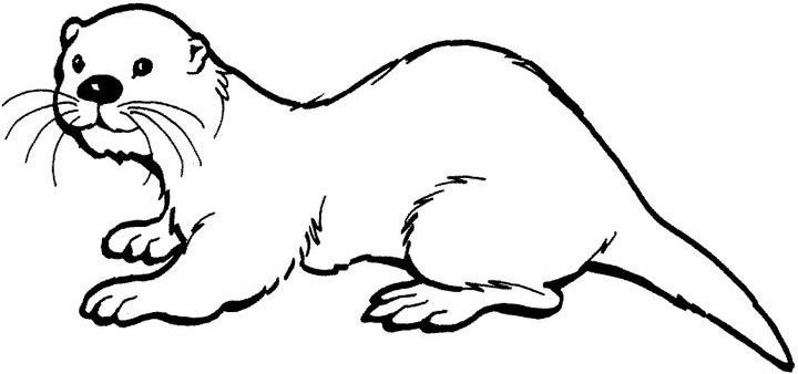 Otter Coloring Pages Printable for Free Download