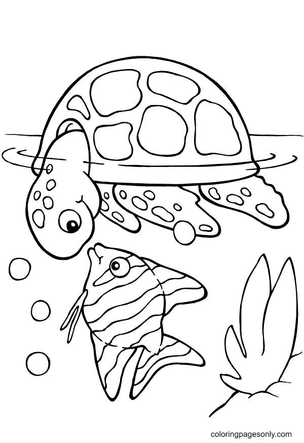 Turtle Coloring Pages Printable for Free Download