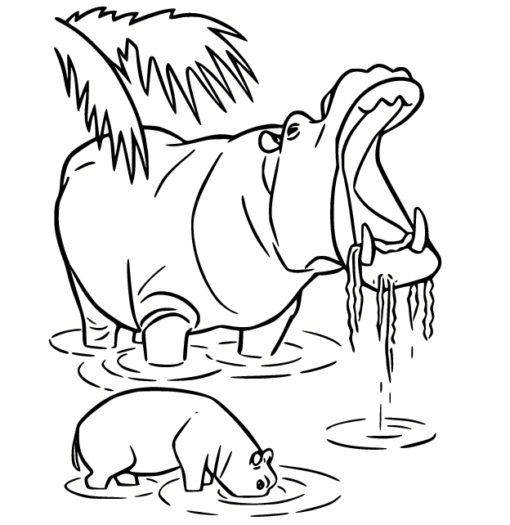 Hippo Coloring Pages Printable for Free Download