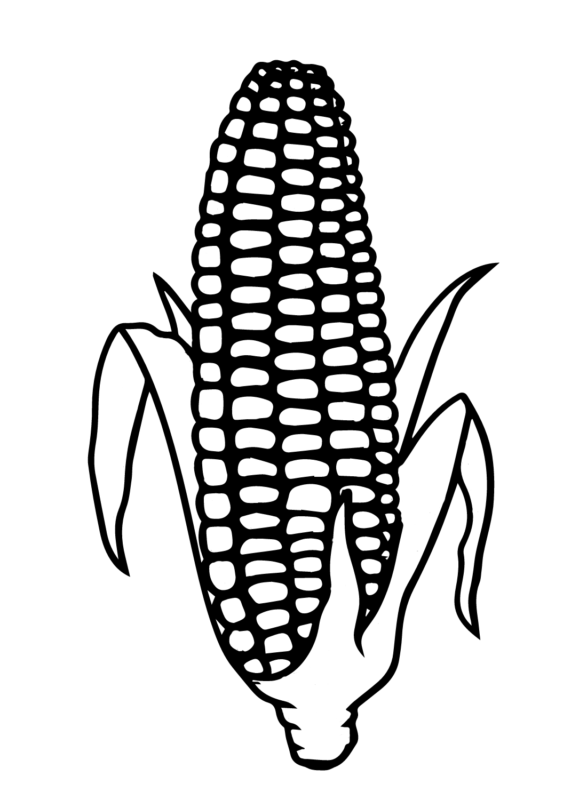 Corn Coloring Pages Printable for Free Download