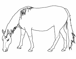 Horse Coloring Pages Printable for Free Download