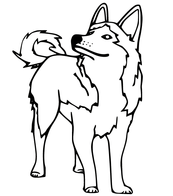 Husky Coloring Pages Printable for Free Download