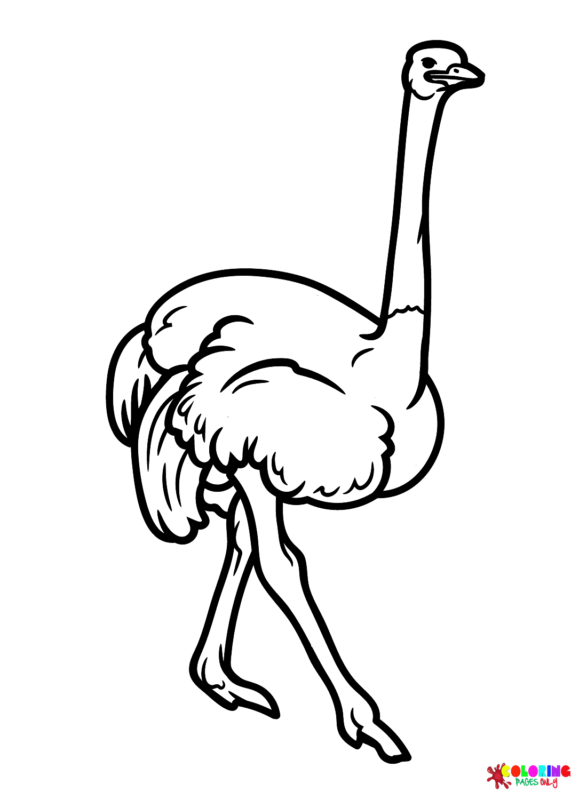 Ostrich Coloring Pages Printable for Free Download