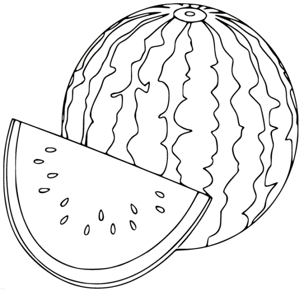 Watermelon Coloring Pages Printable for Free Download