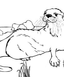 Otter Coloring Pages Printable for Free Download