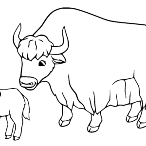 Yak Coloring Pages Printable for Free Download