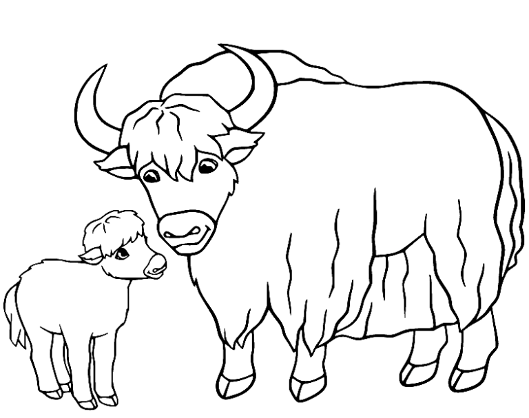 Yak Coloring Pages Printable for Free Download