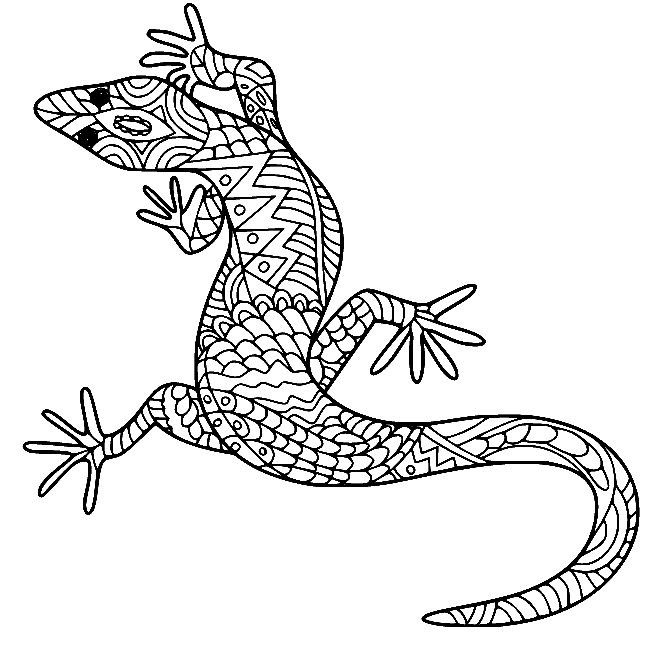Lizard Coloring Pages Printable for Free Download