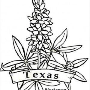 Free Texas State Rangers Coloring Page