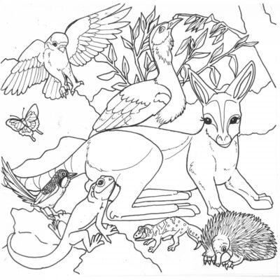 Australia Coloring Pages Printable for Free Download