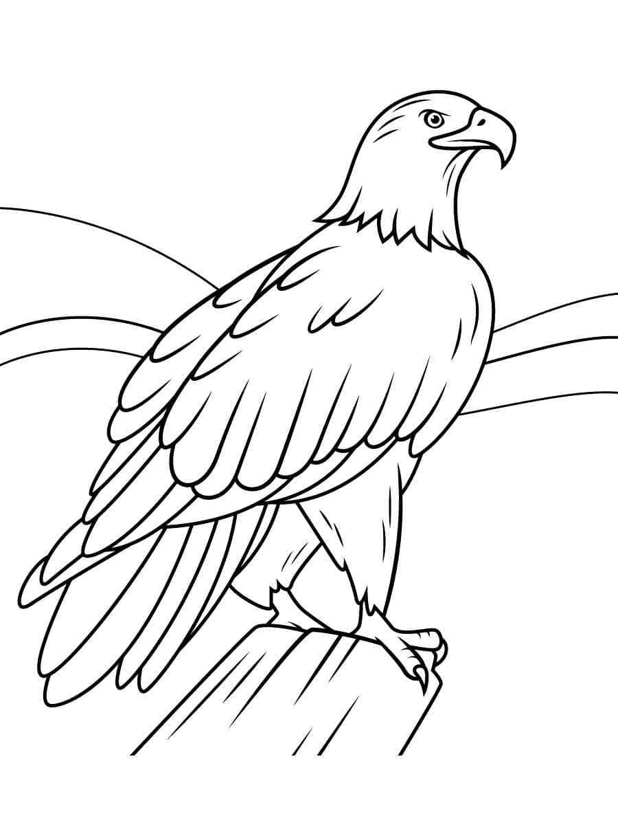 free bald eagle coloring pages