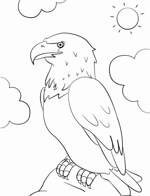 Bald Eagle Coloring Pages Printable for Free Download