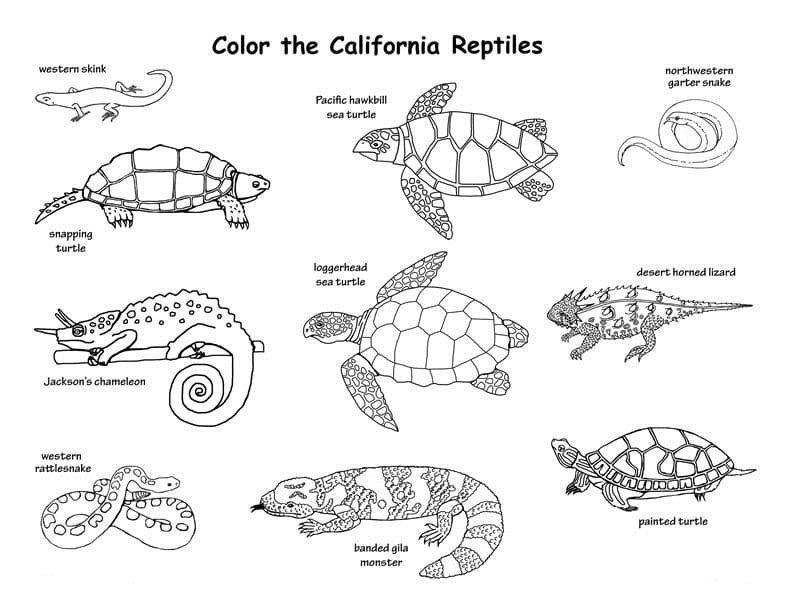 California Coloring Pages Printable for Free Download