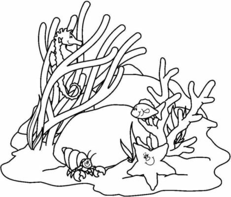 Coral Reef Coloring Pages Printable for Free Download