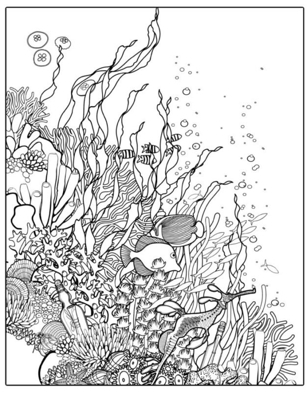 Coral Reef Coloring Pages Printable for Free Download