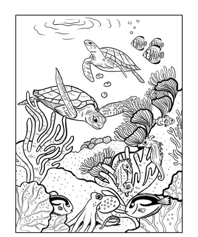 Coral Reef Coloring Pages Printable For Free Download 6639