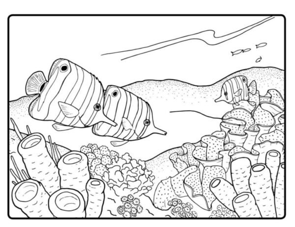Coral Reef Coloring Pages Printable for Free Download