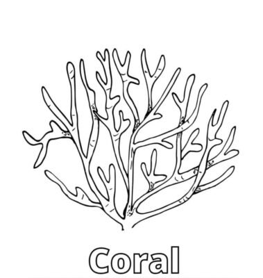 Coral Reef Coloring Pages Printable for Free Download