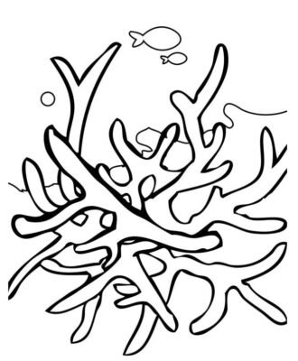 Coral Reef Coloring Pages Printable for Free Download