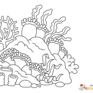 Coral Reef Coloring Pages Printable for Free Download