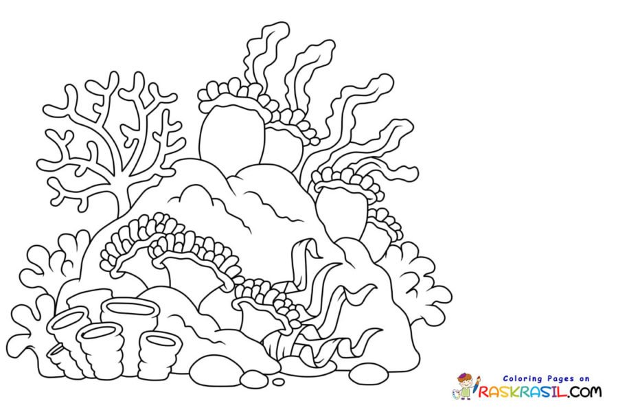 Coral Reef Coloring Pages Printable for Free Download