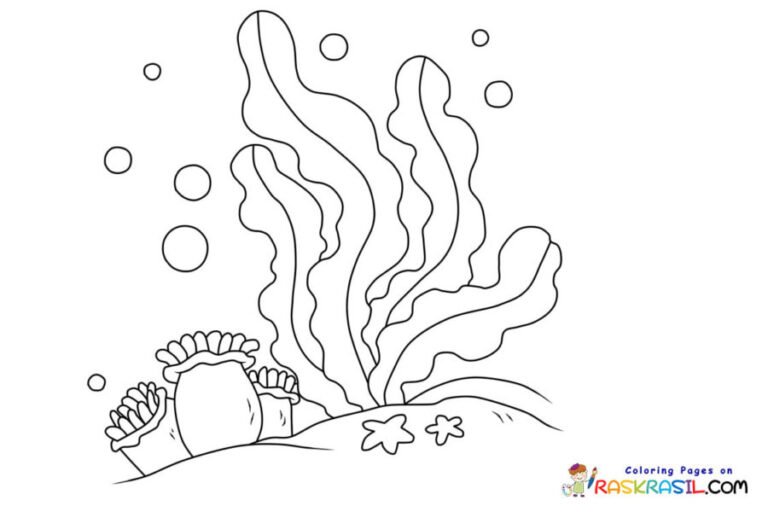 Coral Reef Coloring Pages Printable For Free Download