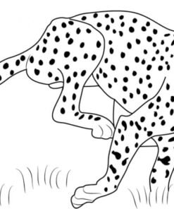 Leopard Coloring Pages Printable For Free Download