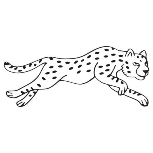 Leopard Coloring Pages Printable for Free Download