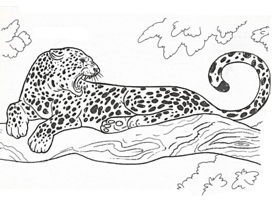 Leopard Coloring Pages Printable for Free Download