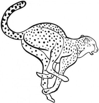 Leopard Coloring Pages Printable for Free Download