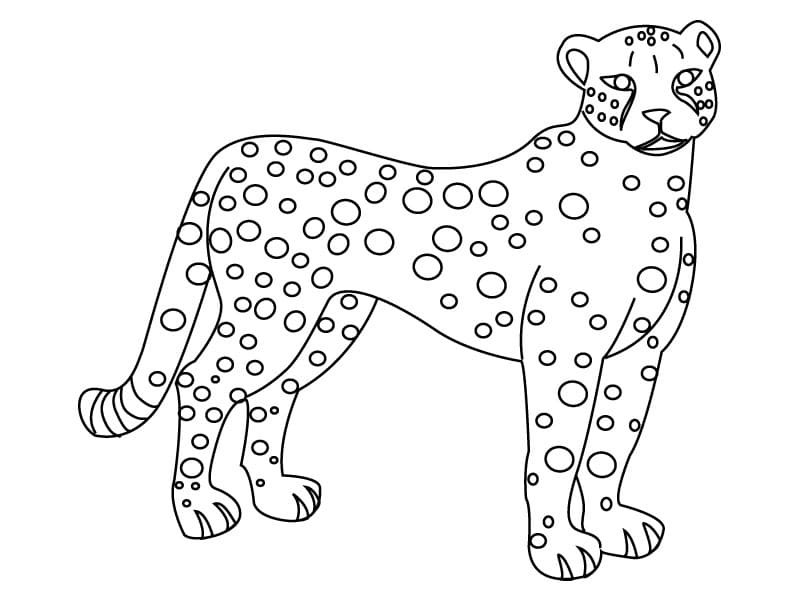 Leopard Coloring Pages Printable for Free Download