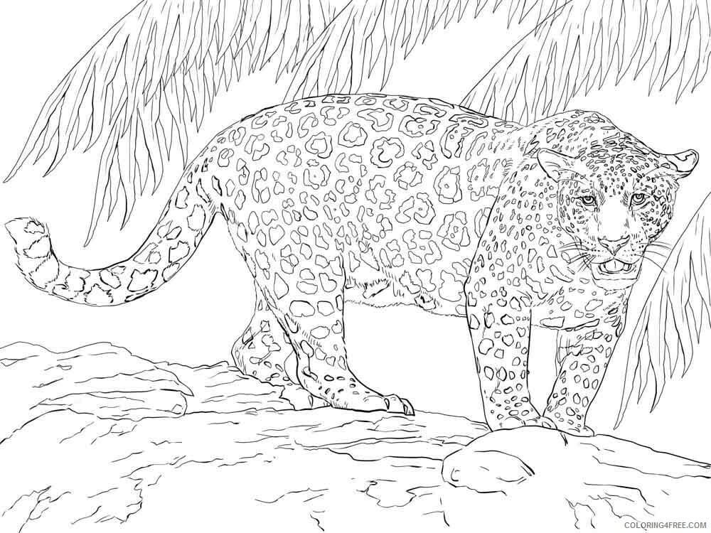 Leopard Coloring Pages Printable for Free Download