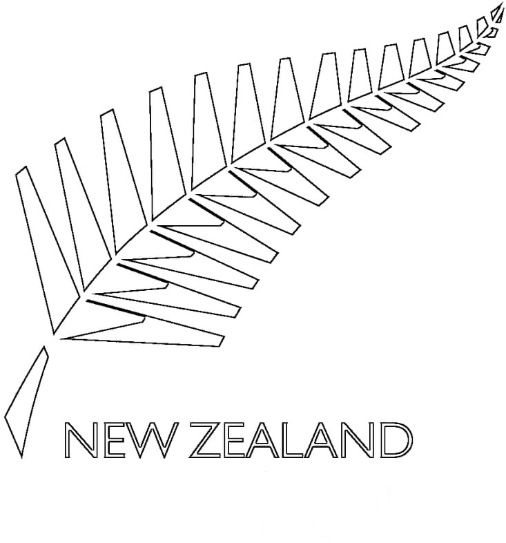 Cricket India png download - 950*499 - Free Transparent New Zealand  National Cricket Team png Download. - CleanPNG / KissPNG
