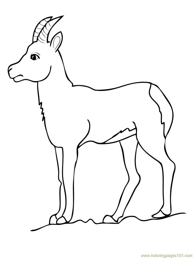 Middle Billy Goat Colouring Sheet | Colouring Sheets