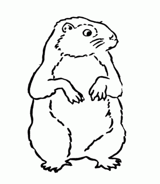 Groundhog Coloring Pages Printable for Free Download