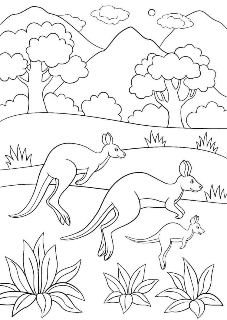 Australian Animals Colouring Pages Printable for Free Download