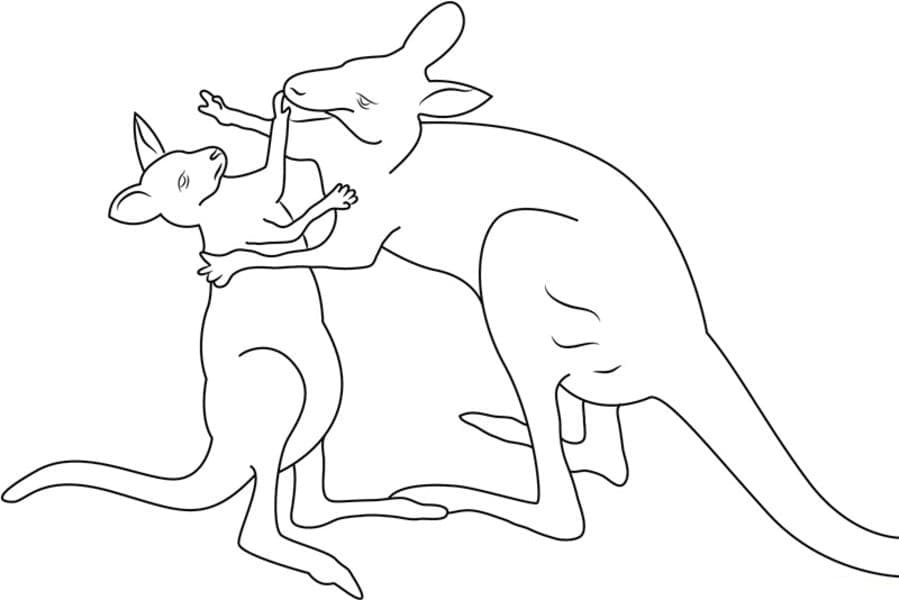 Australian Animals Colouring Pages Printable for Free Download