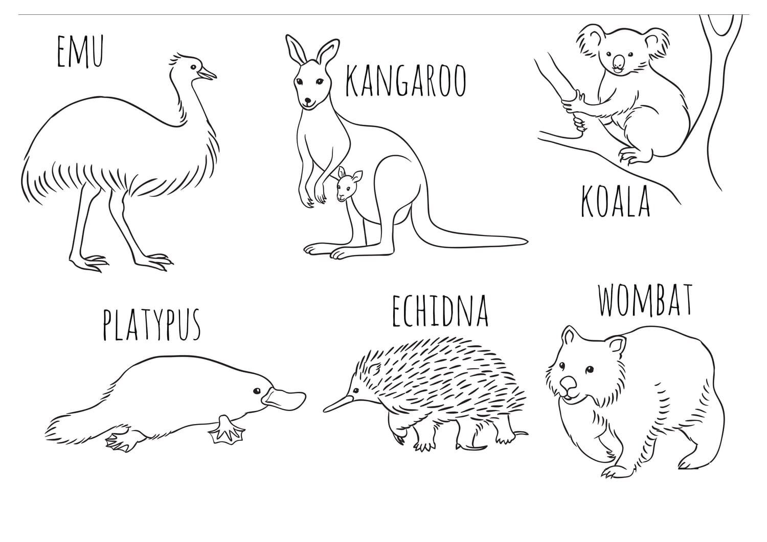 Australian Animals Colouring Pages Printable for Free Download